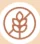 Gluten Free Icon